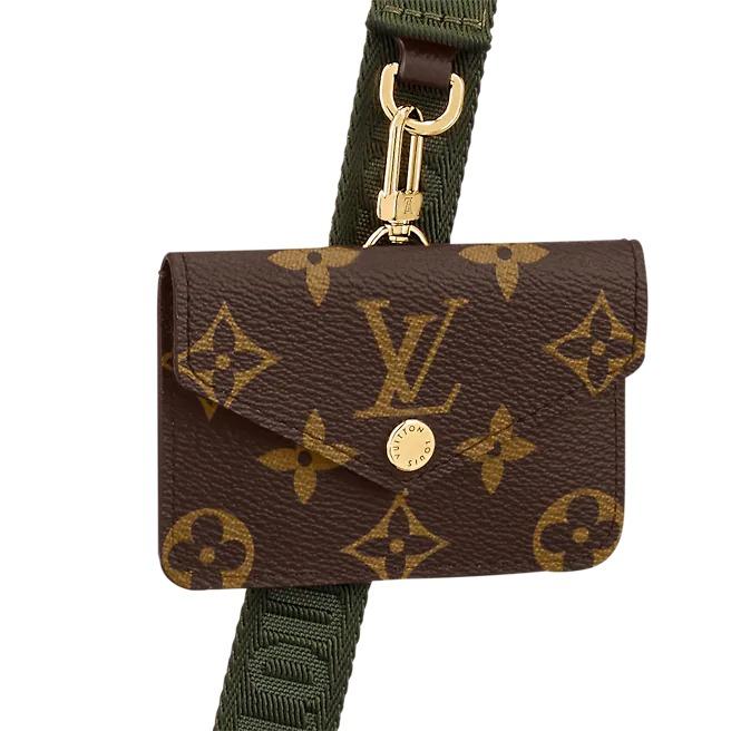 Louis Vuitton Félicie Strap & Go